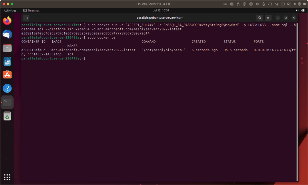 Execute arquivos binários Intel no Linux em um Mac com Apple Silicon